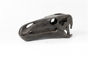 Image description is not available for 1998.3.9